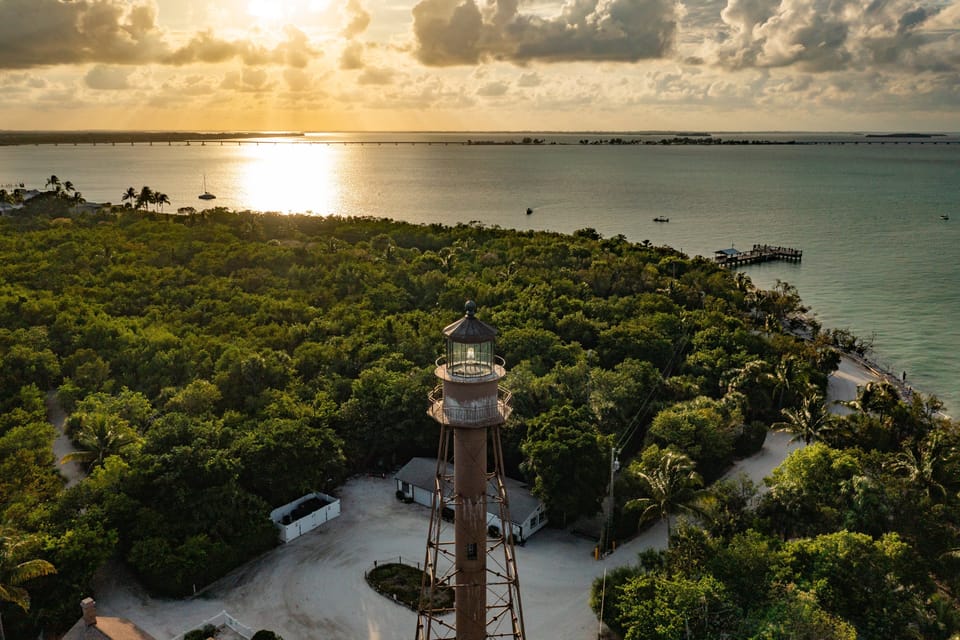 Kingfisheraerials1-4