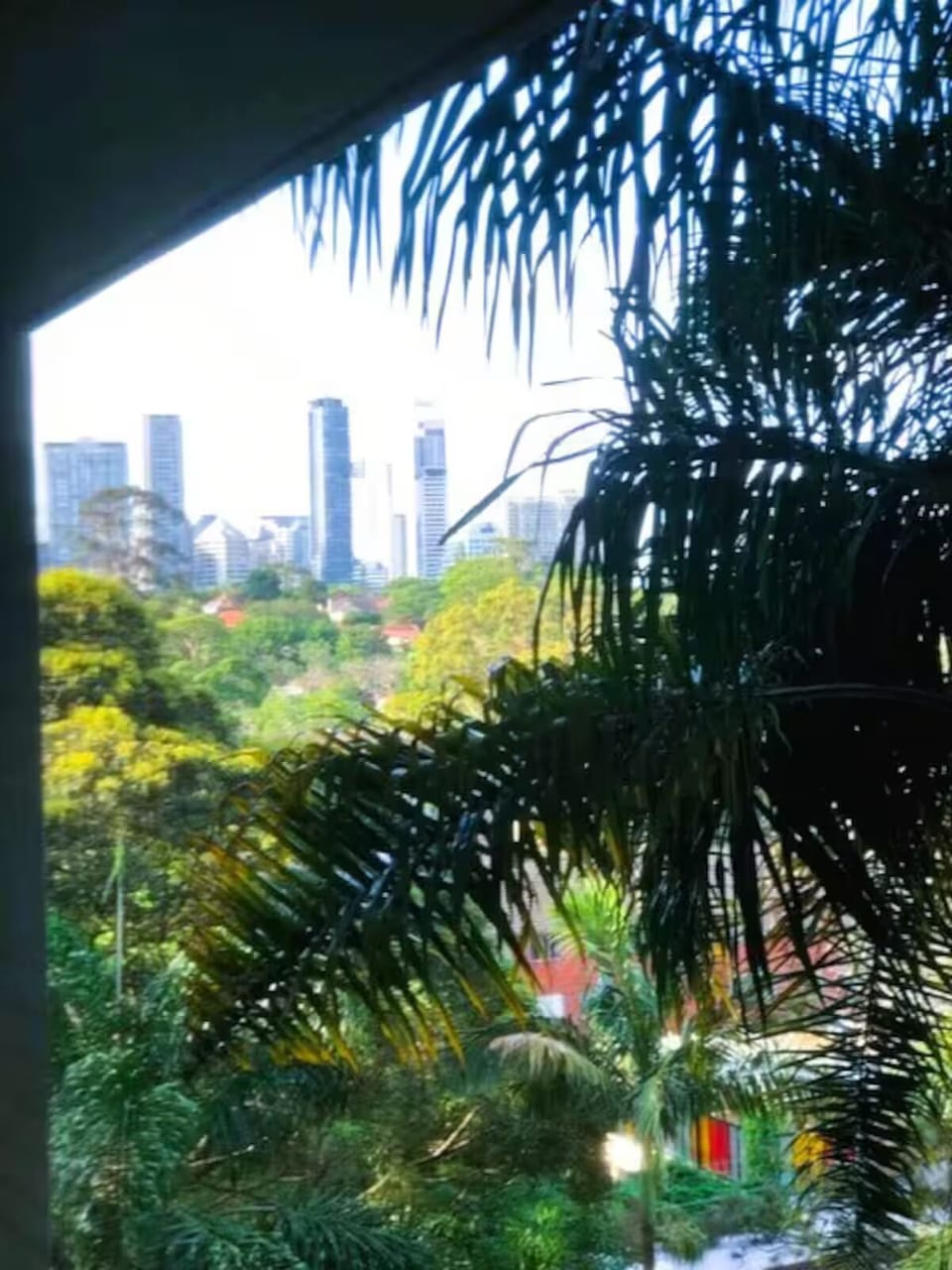 View from property