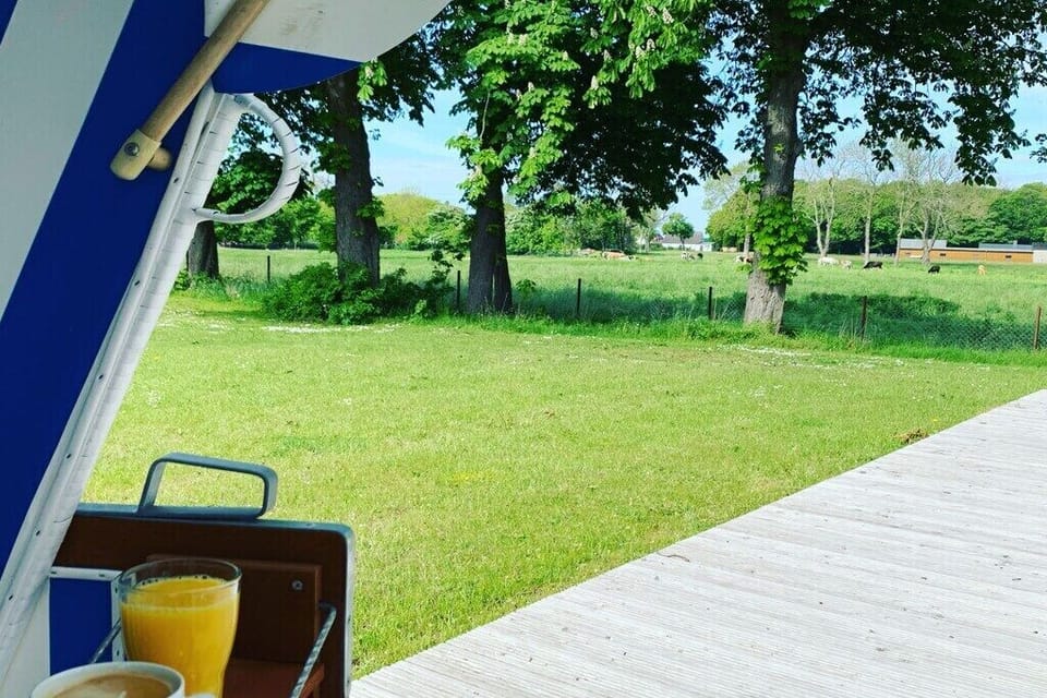 terrace
