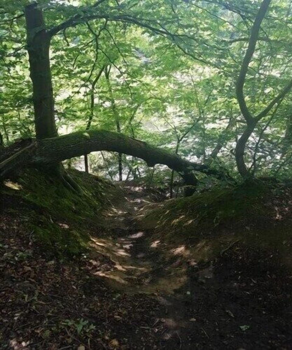 Surroundings [summer] (1-5 km)