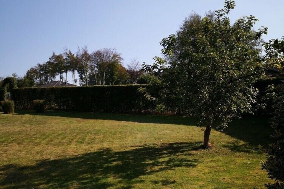 Garden [summer]