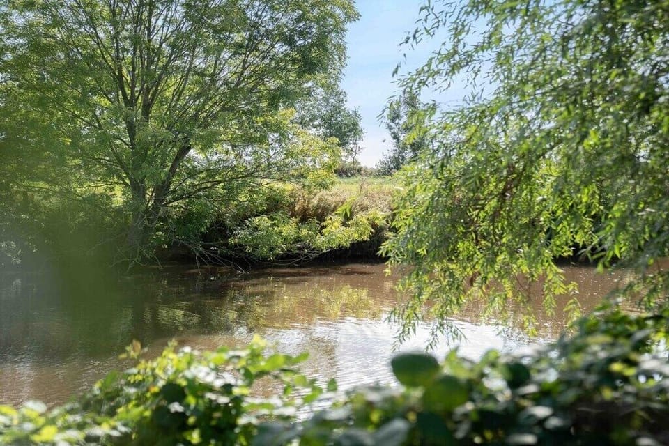 Surroundings [summer] (1-5 km)