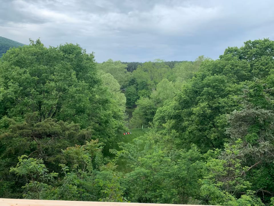 View from property