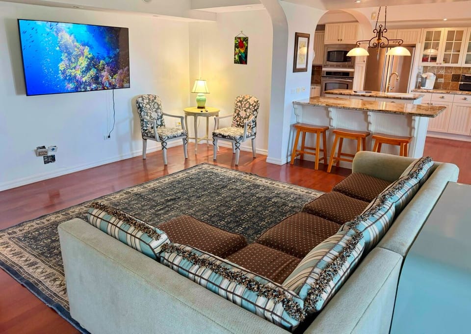 Living Room with Roku/TV