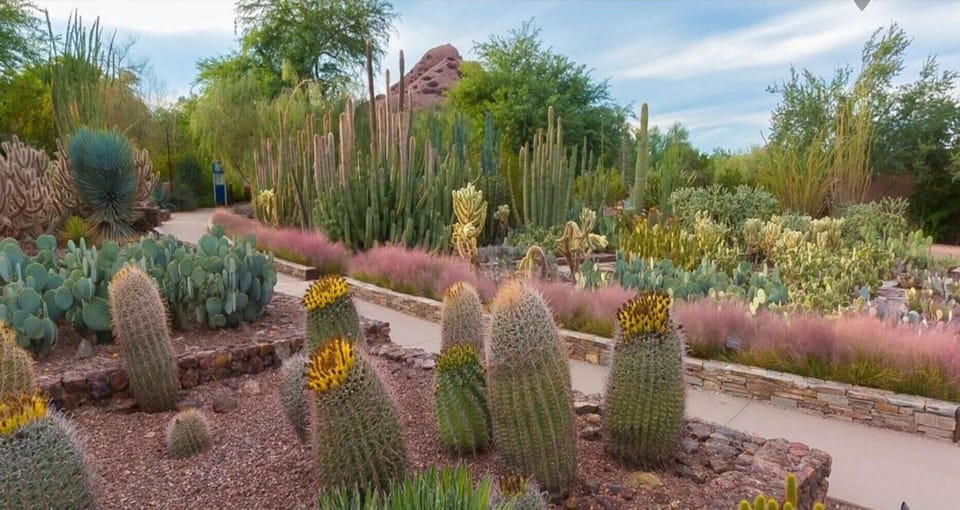 Desert Botanical Garden