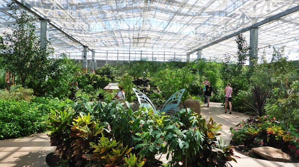 Butterfly Wonderland