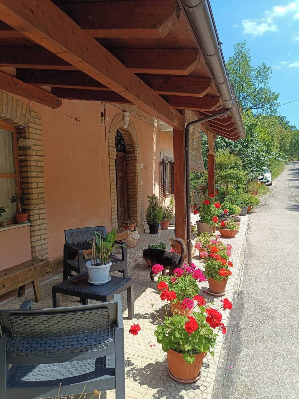Terrace/patio