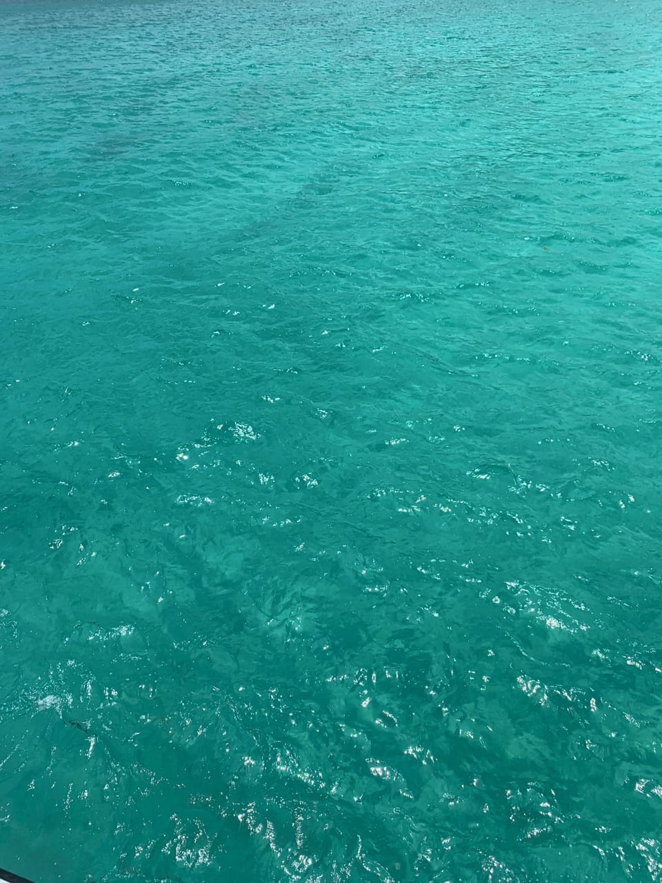 Icacos Island. Icacos has to be accessible by water taxi or boat