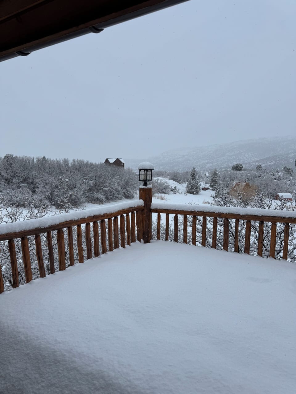 Winter white morning