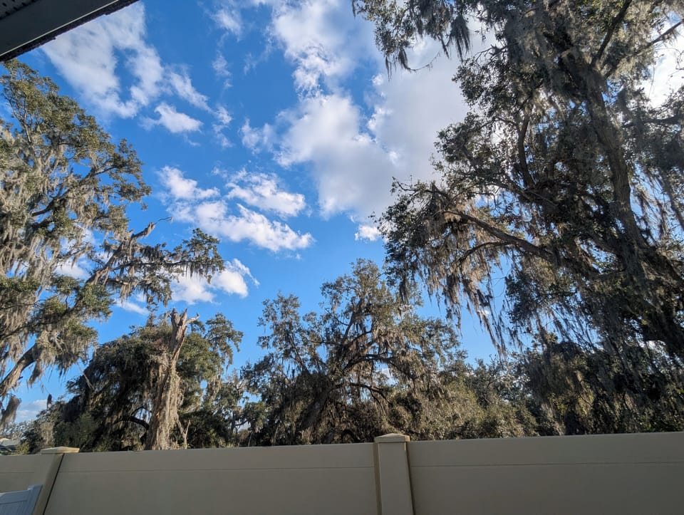 View from property