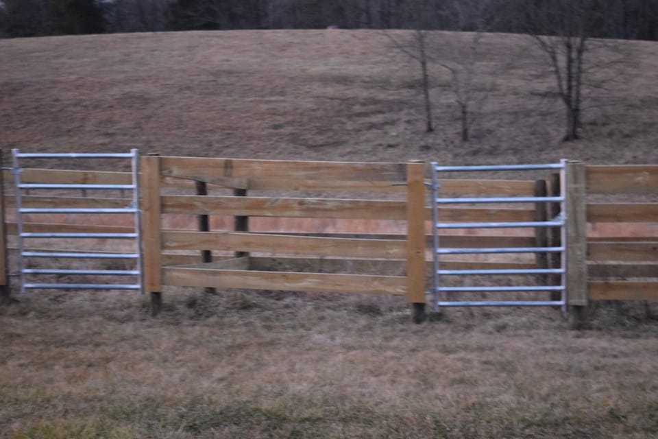 Secured Fence. Enjoying wide-open outdoor spaces