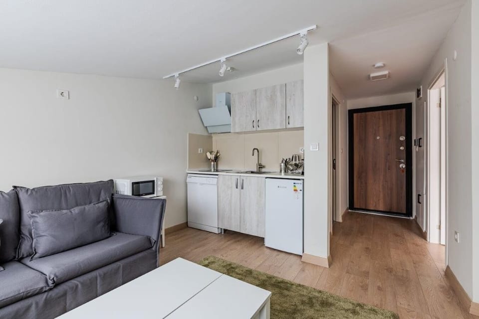 Living Room and Entrance
