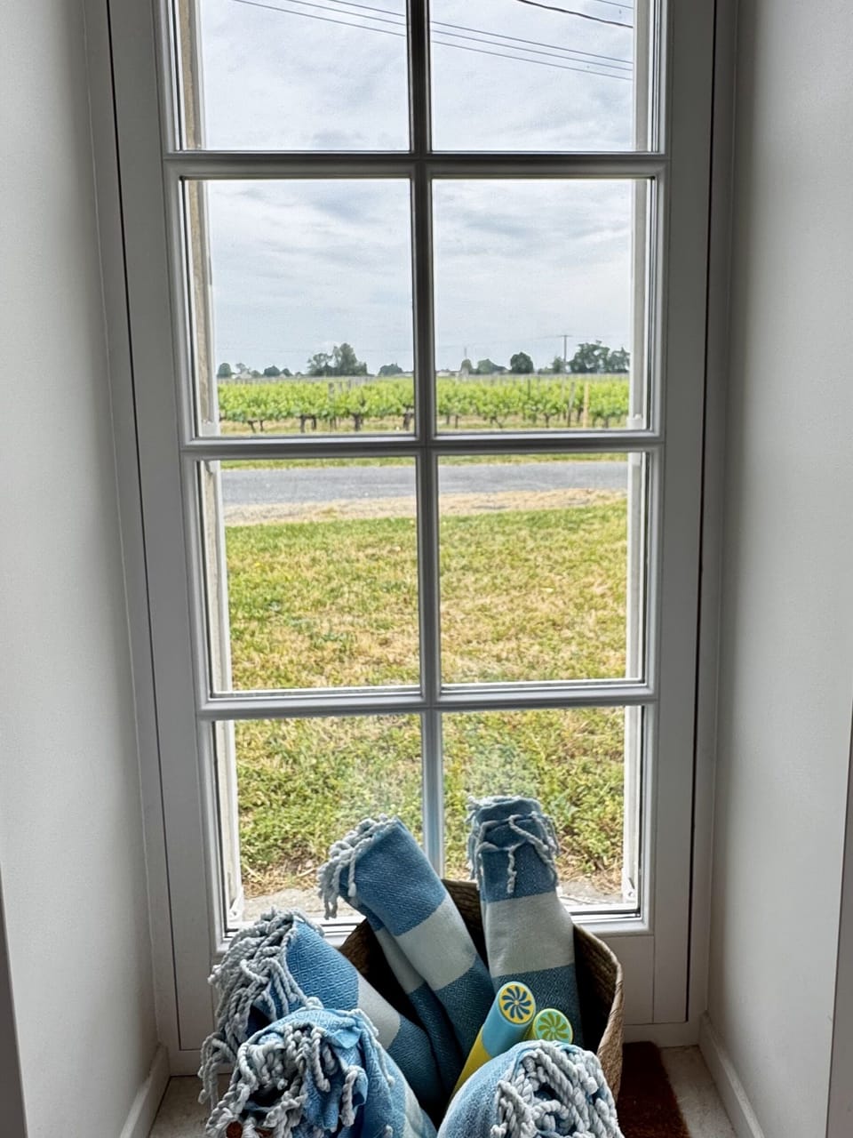 View from lounge, pool towels