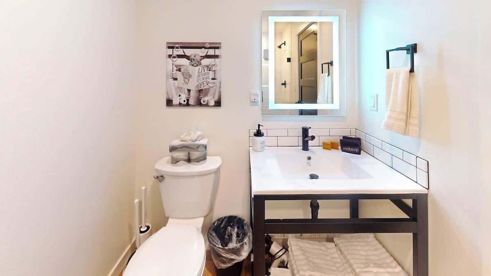 Downstairs bathroom sink & toilet