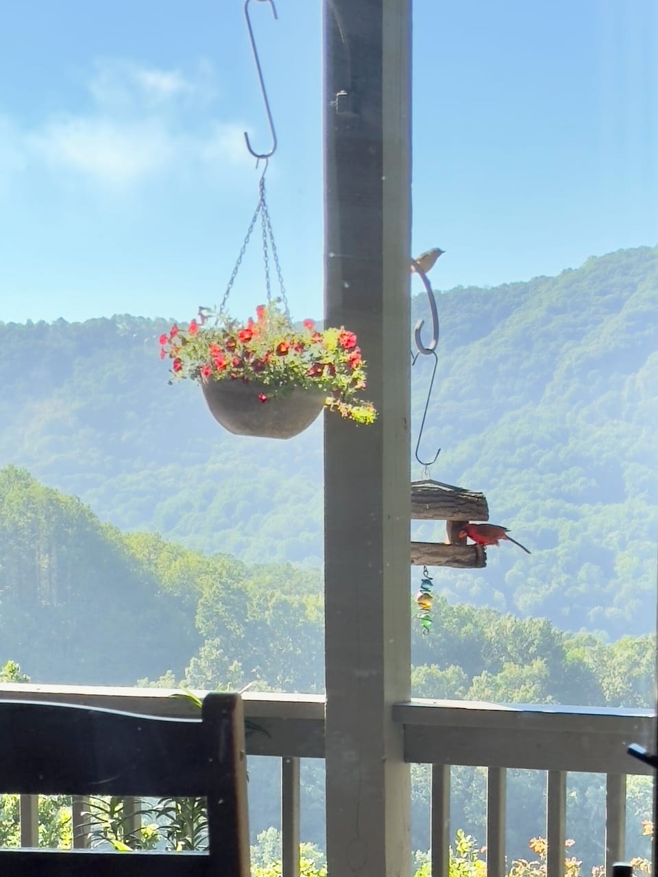 View from property
