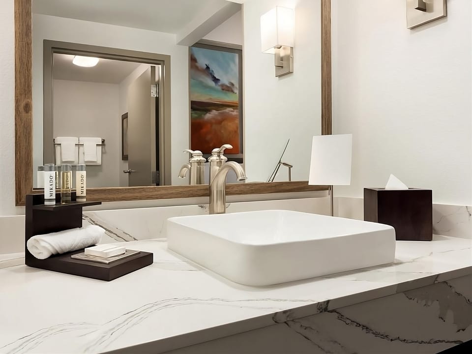 Refresh at the modern vessel sink with spa-like finishes.