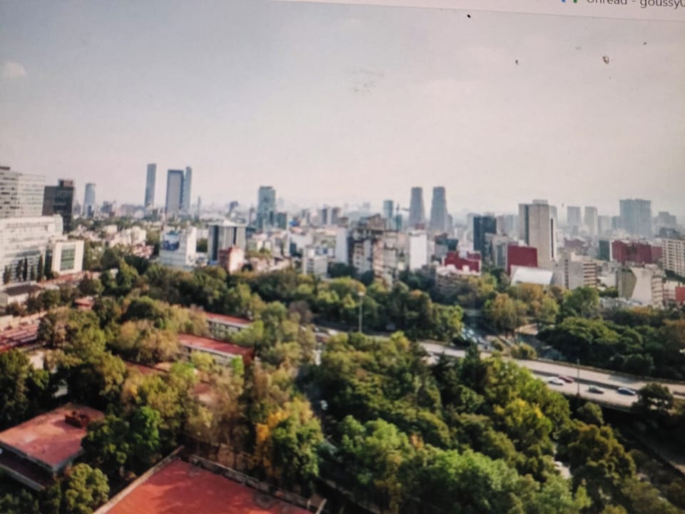 view from apartement 