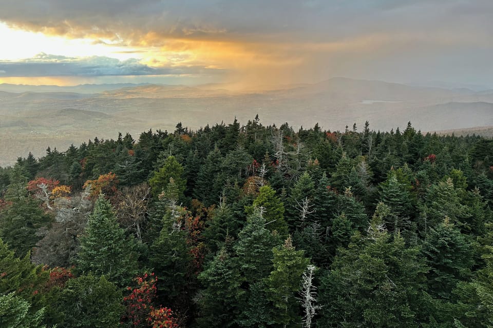 View from fire tower, just up the hill!