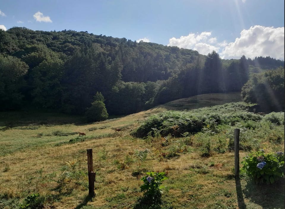 Mountain view
