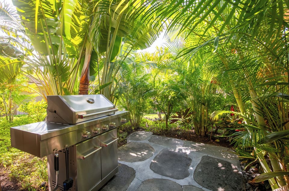 Propane BBQ