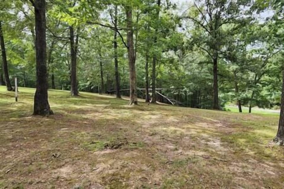 49094fd2 6e17 43d2 af5d 1cd8c6639799