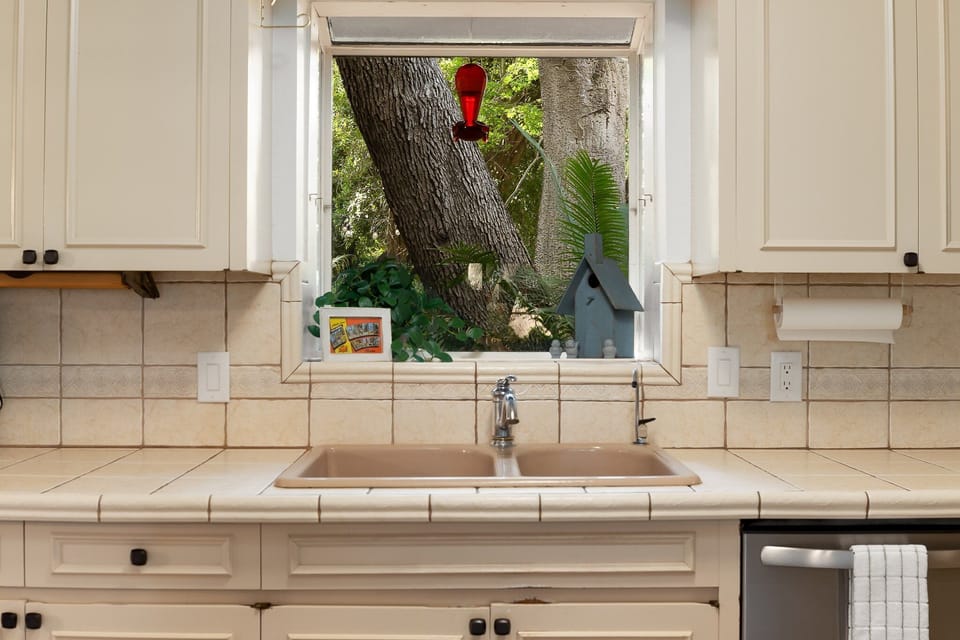 Hummingbirds right outside kitchen window :)