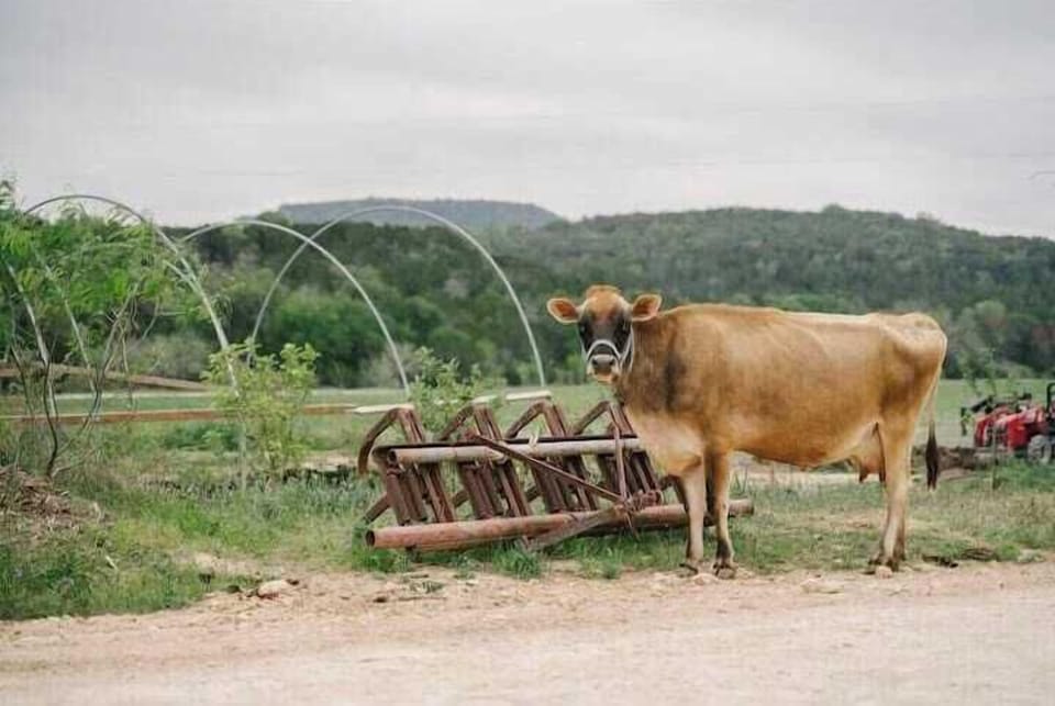Family Farm