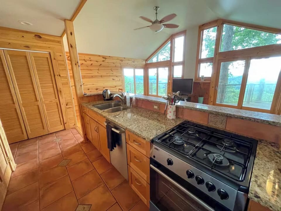 The stove and the counter 