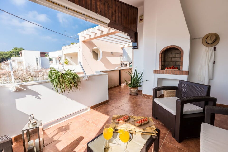 Home, Apartment, Flowerpot, Houseplant, Balcony, Chair, Shade, Wood Stain, Penthouse Apartment