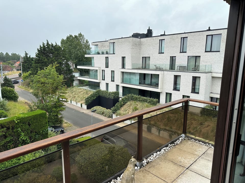 view from terrace