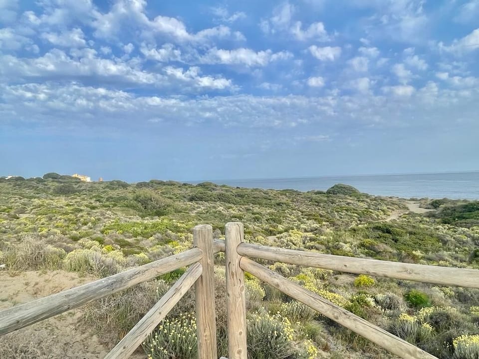 View from property