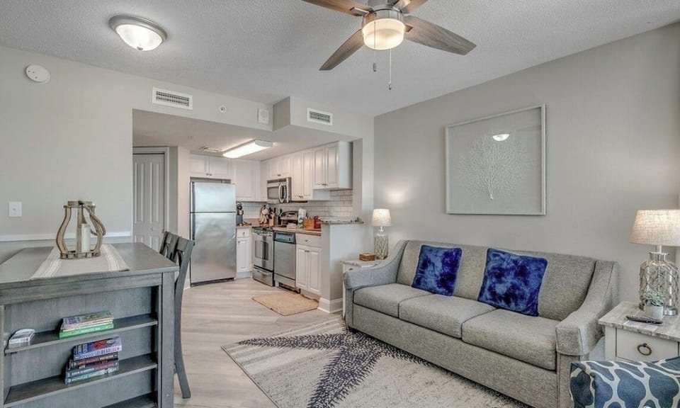 Living room and kitchen