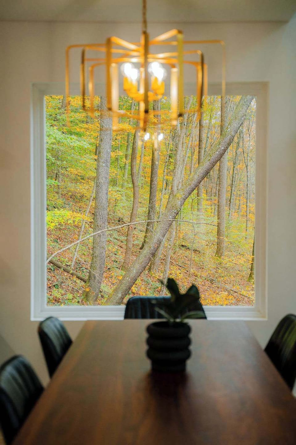 Dining Room: Gather around the elegant table with woodland views and stylish lighting!