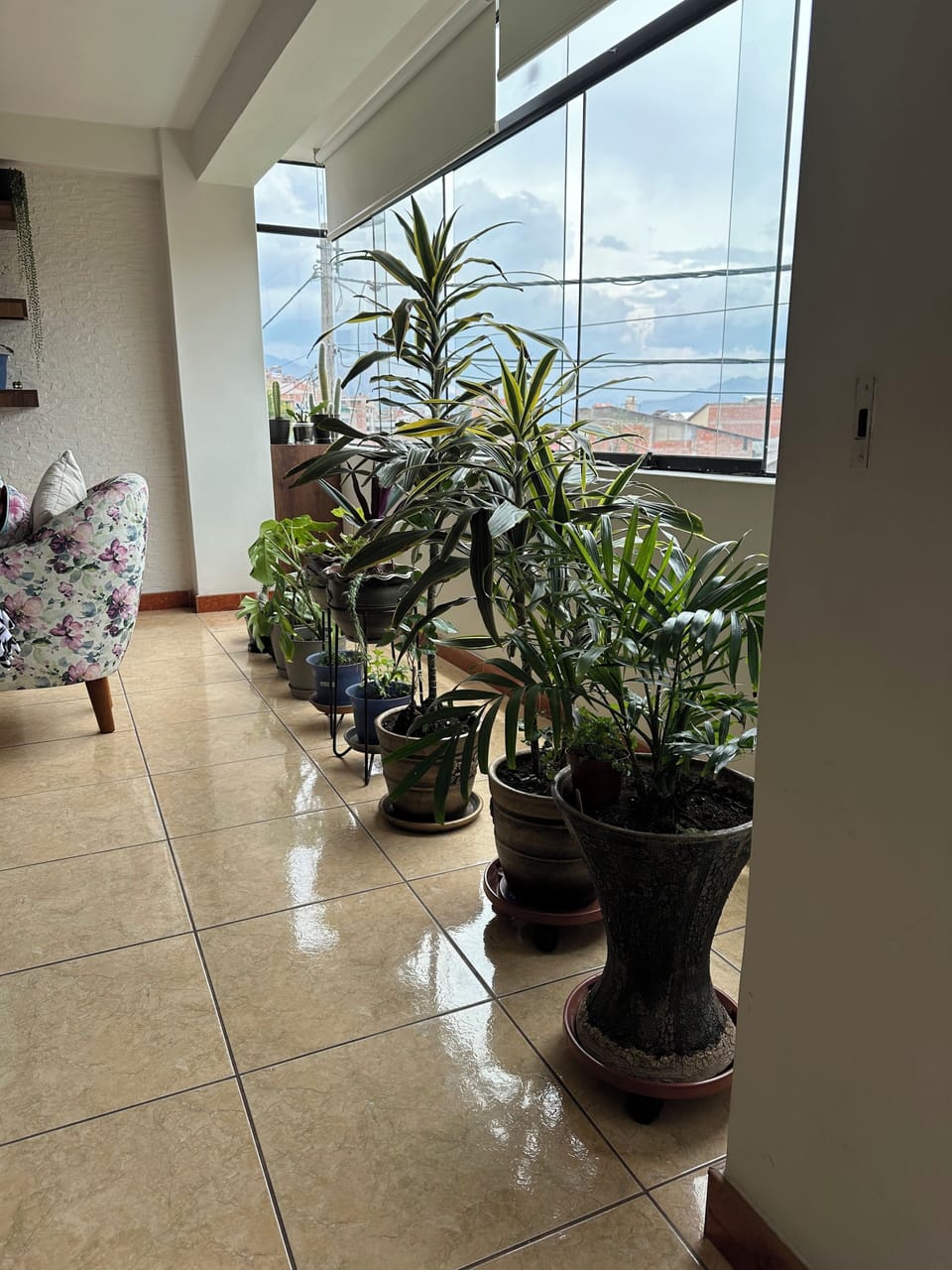 Espacio verde con vista a la urbanización,