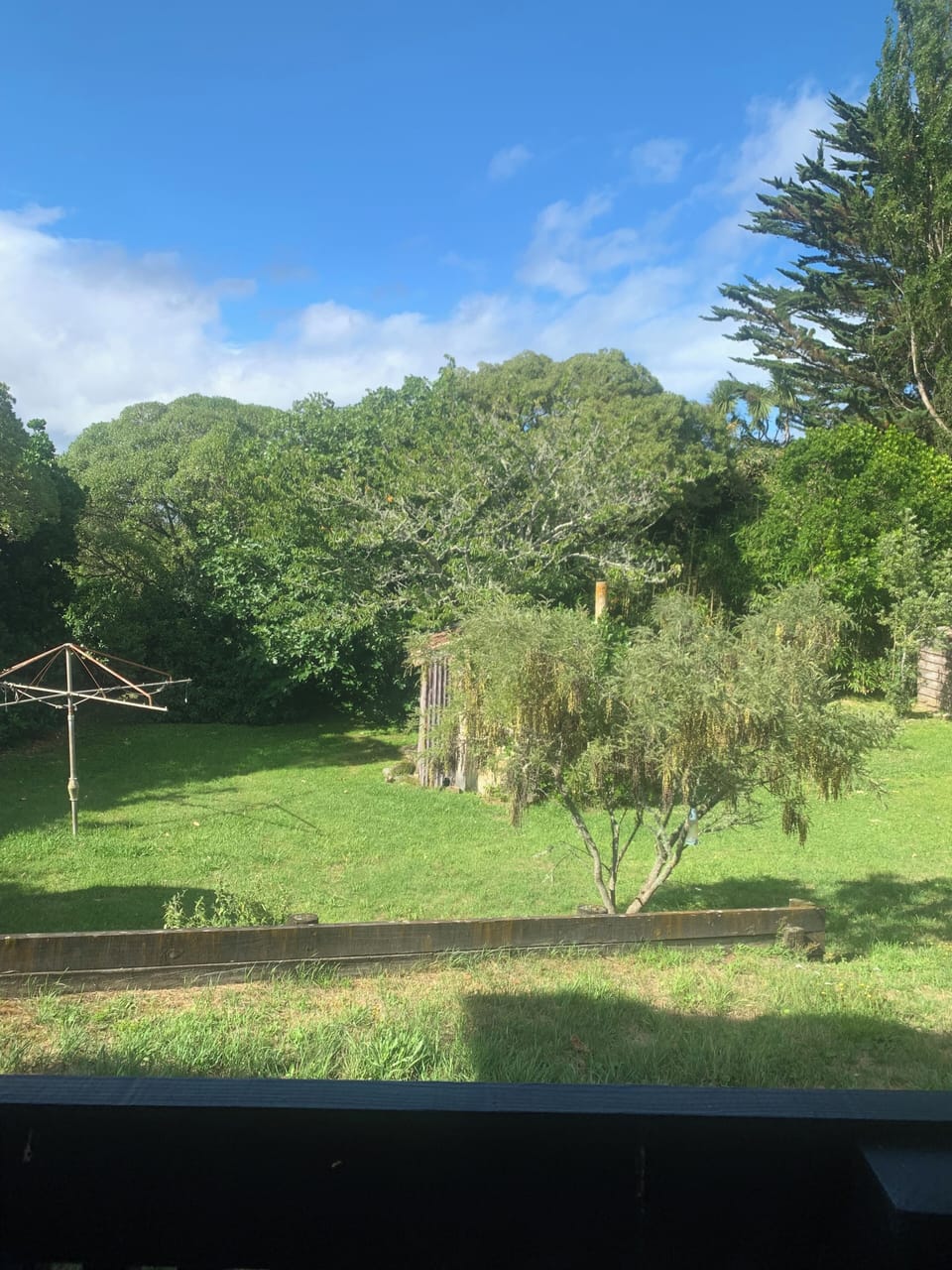 BACK YARD