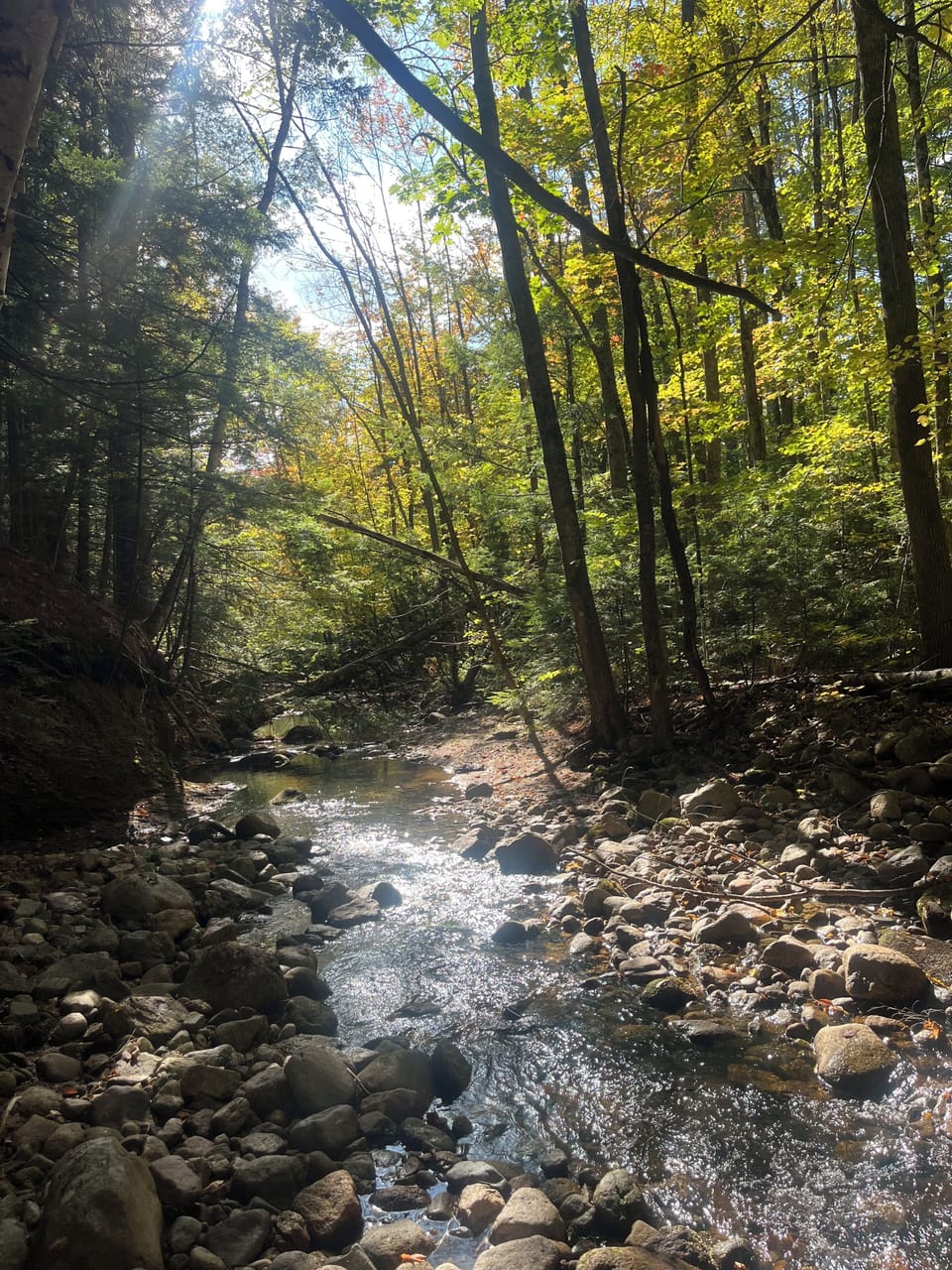 A stream meanders through the Crown Ridge property.