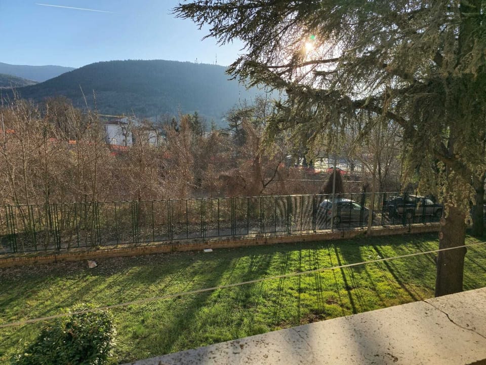 PANORAMA