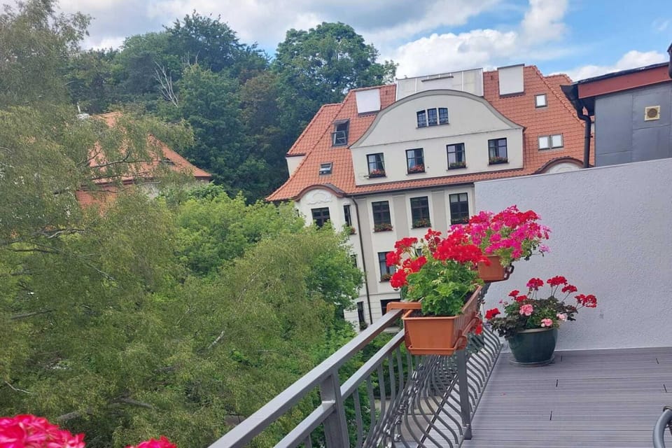 View from Holiday Home [summer]