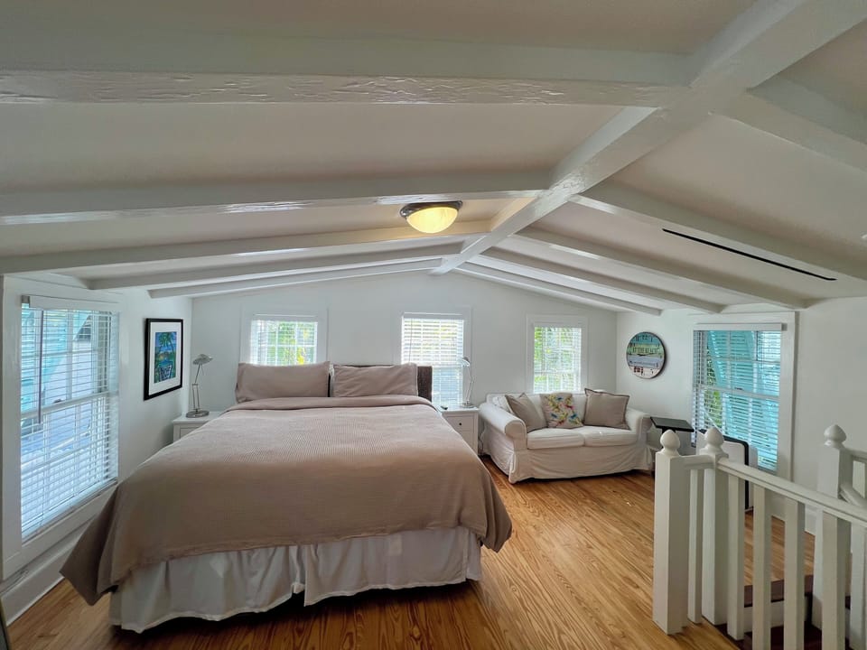 Large comfy room with sofa for lounging