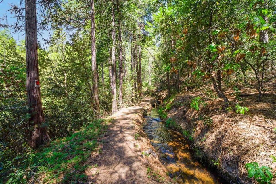 Peaceful creek within walking distance