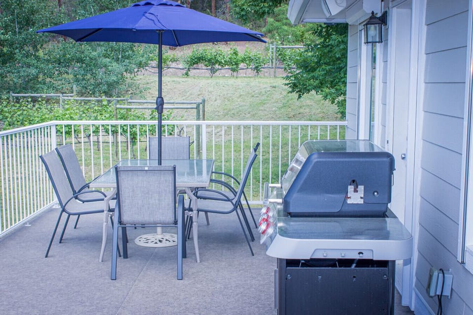 Patio Space w/ BBQ