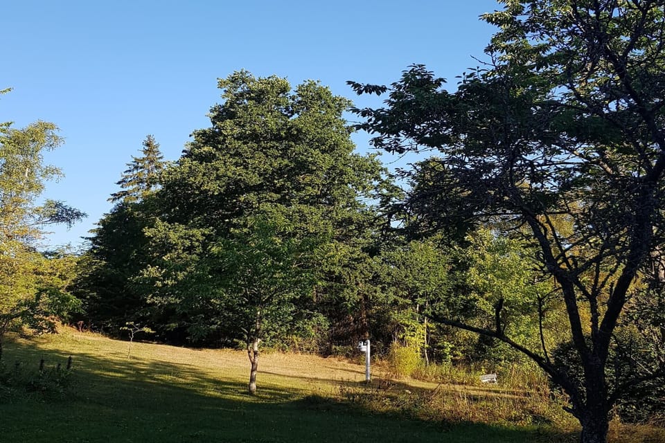 View from Holiday Home [summer]