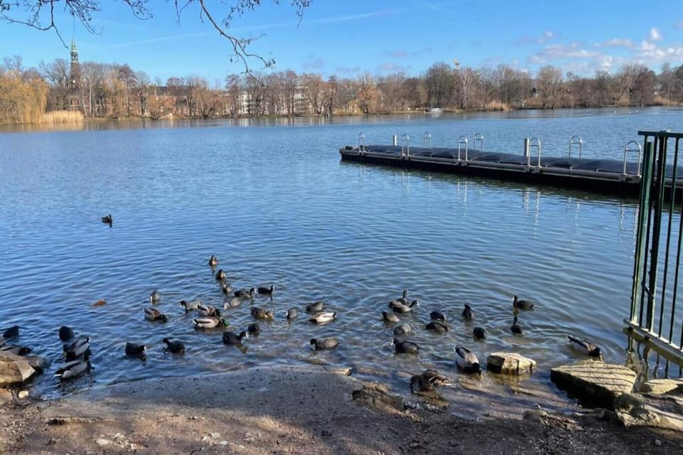 Region [summer] (>5 km)