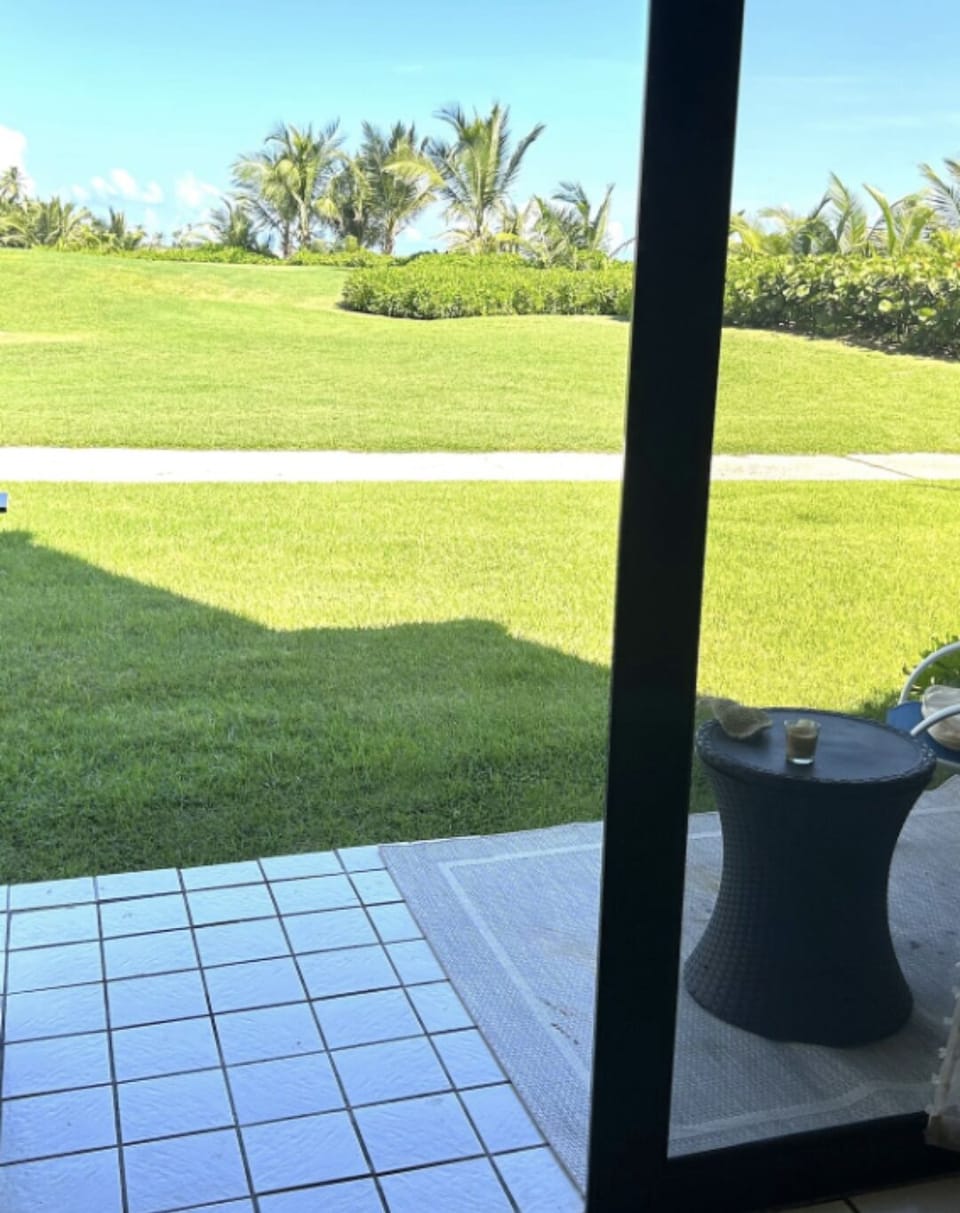 View from Patio and living room 