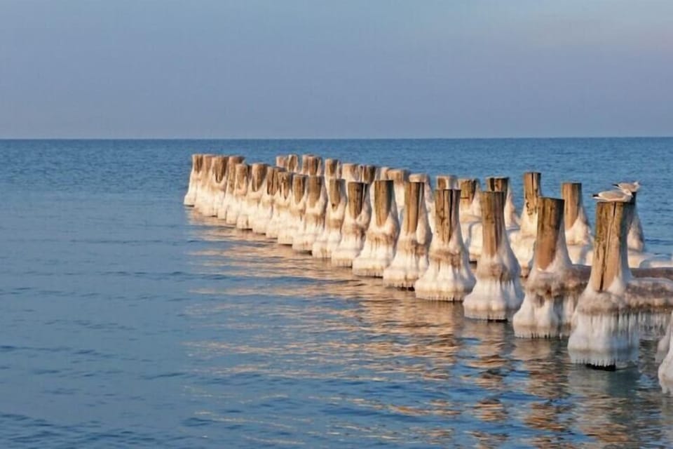 Region [summer] (>5 km)