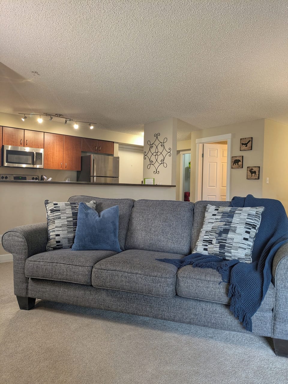 Open concept kitchen/living area. 