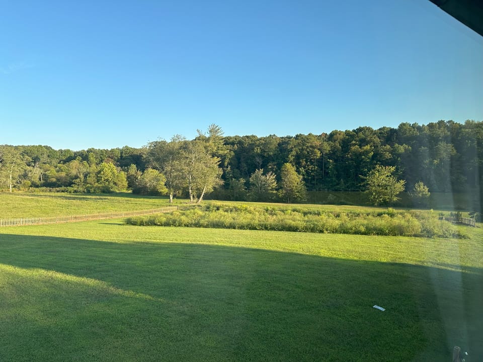 View from property