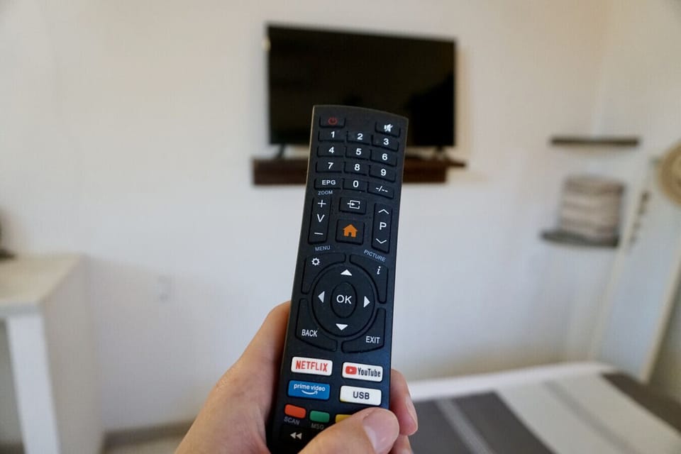 Television