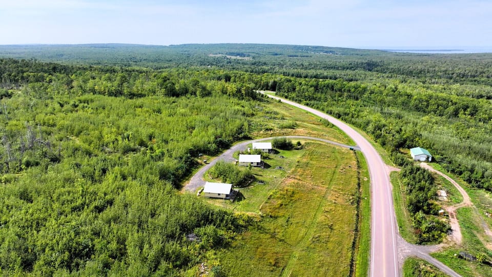 Trails throughout wooded section behind the cabins