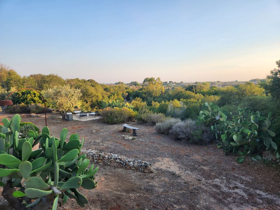 View from the pool, overlooking to property and outdoor gas fire pit.
